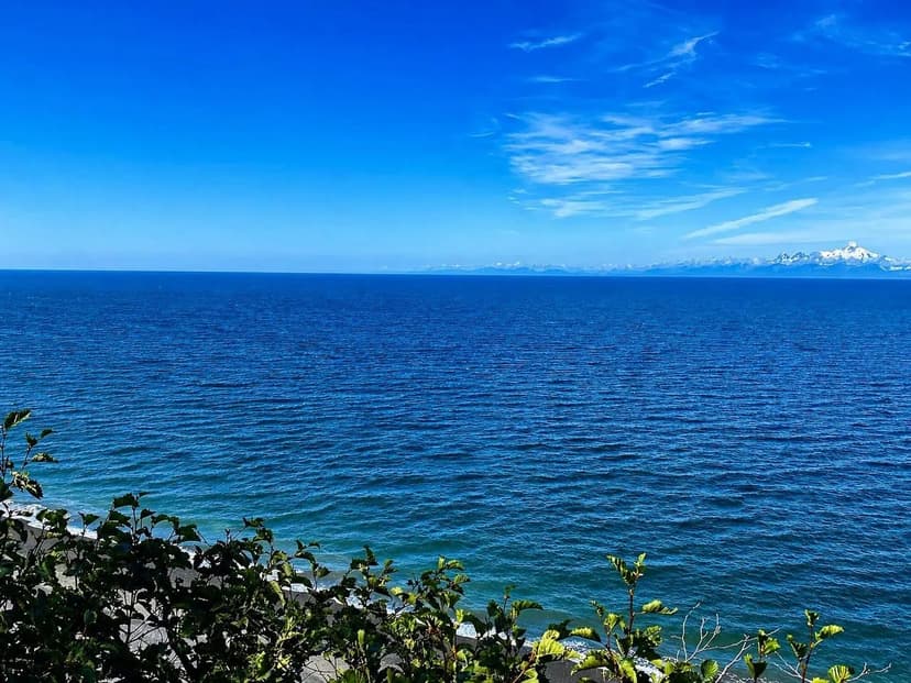 20935 sterling hwy ninilchik ak 99639