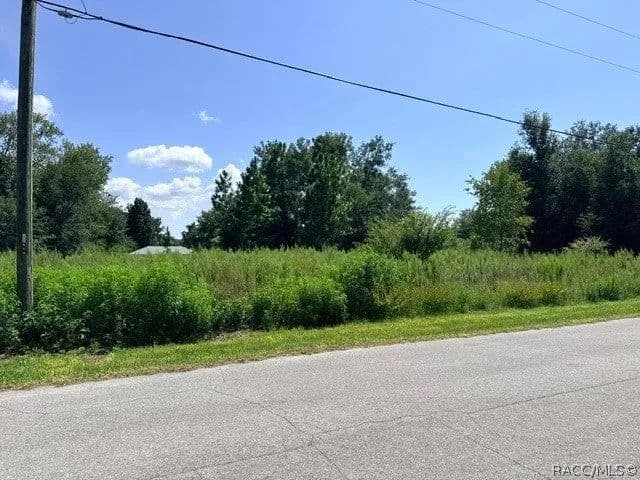 Lots & Land-Other in Inverness - Inverness, Florida, 34453