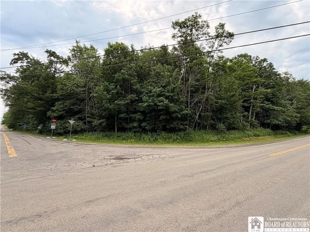 Lots & Land-Other in Mayville - Mayville, New York, 14757