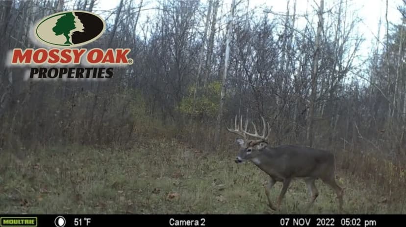 21.22 +/- ACRES / N STATE ROAD 15 / WABASH COUNTY / LAND FOR SALE