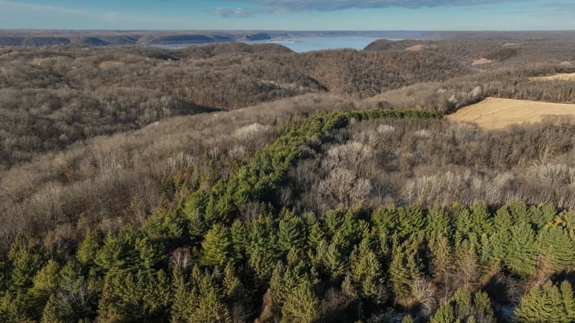 Legacy Blufftop Hunting Retreat Near the Mississippi River | 128 Acres in Crawford County, WI