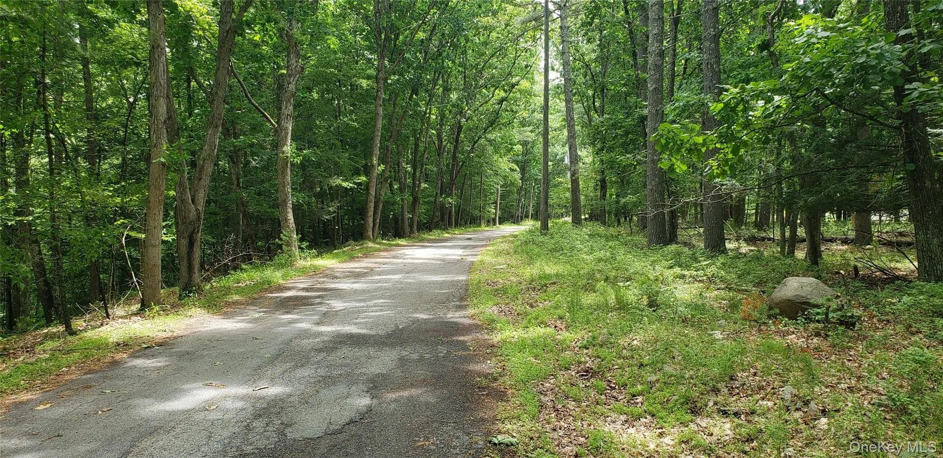 Land for Sale in Cuddebackville, New York - Cuddebackville, New York, 12729