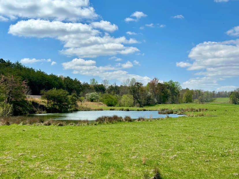 Property from 428 Dick Wilson Road - KW