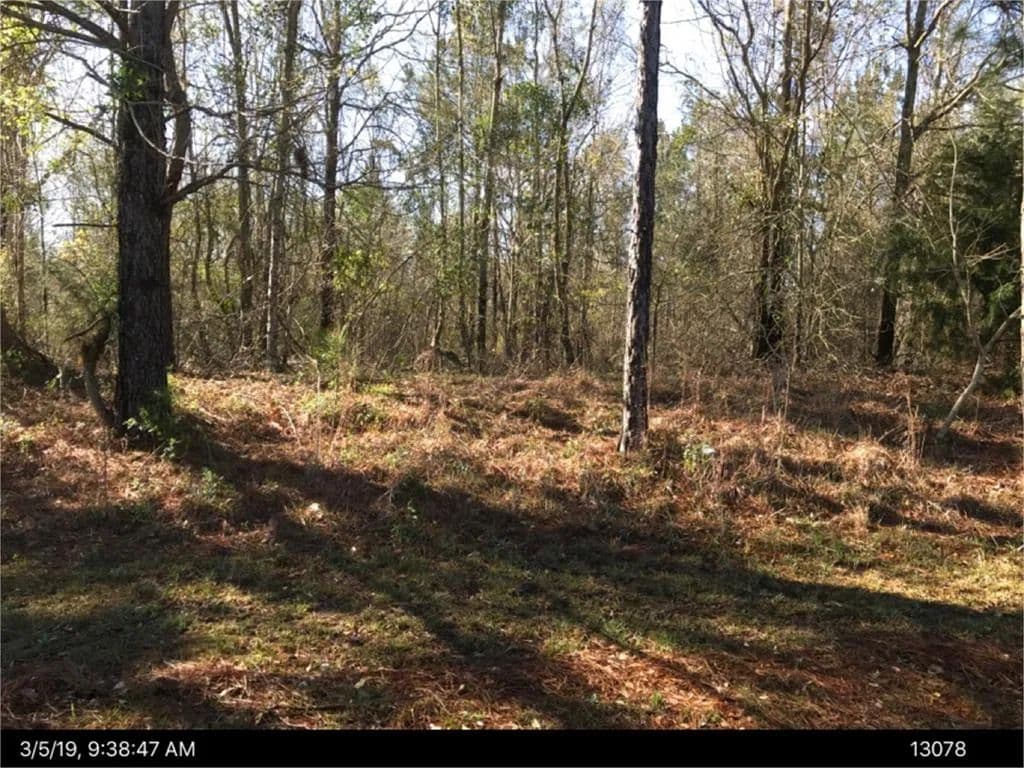 Lots & Land-Other in Cordele - Cordele, Georgia, 31015