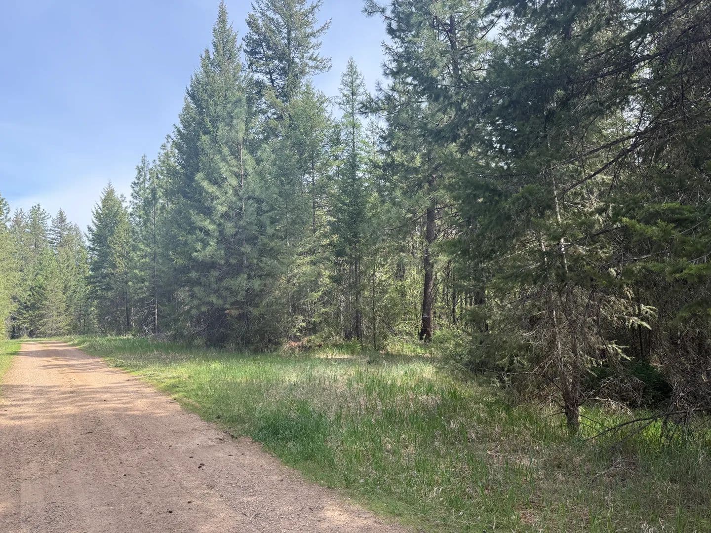Vacant Land in Laurier - Laurier, Washington, 99146