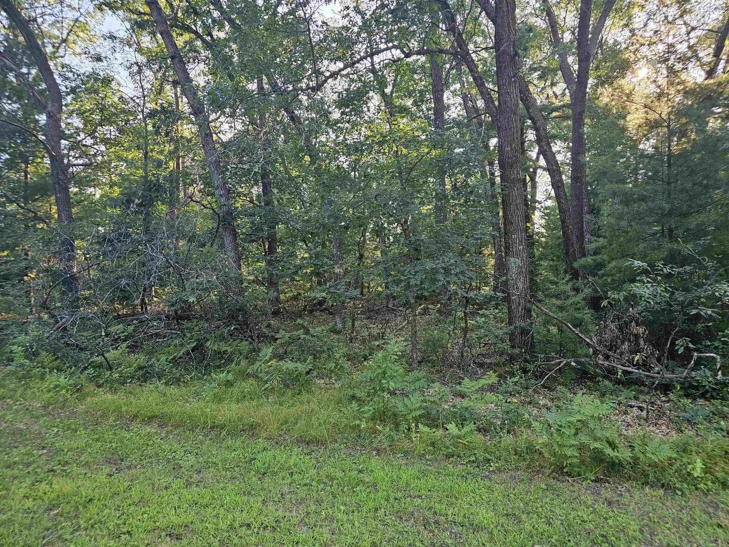 Lots & Land-Other in Friendship - Friendship, Wisconsin, 53934