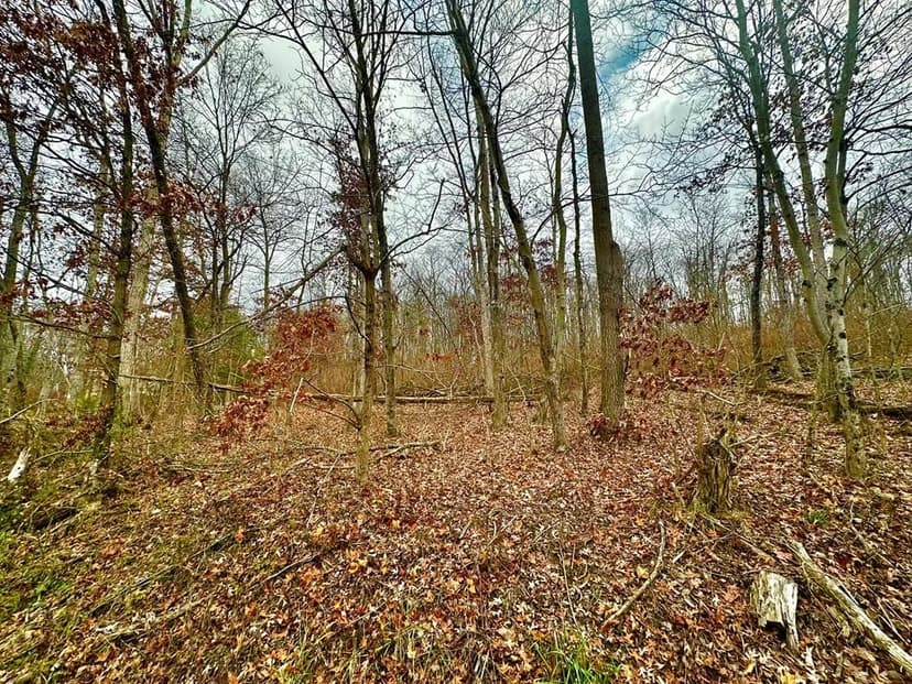 Lots & Land-Other in Waverly