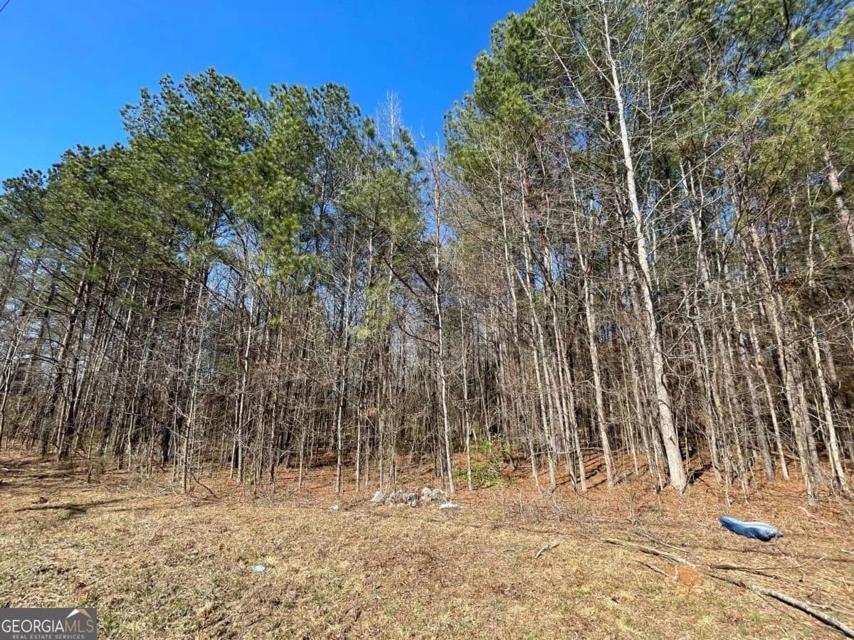 3.48 Acres of Land for Sale in Covington, GA - Covington, Georgia, 30014