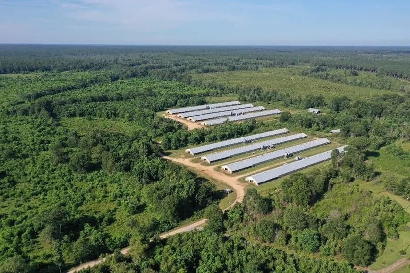 SALE PENDING! - Walker Broiler Ranch – Eight House Farm in Wayne County, MS