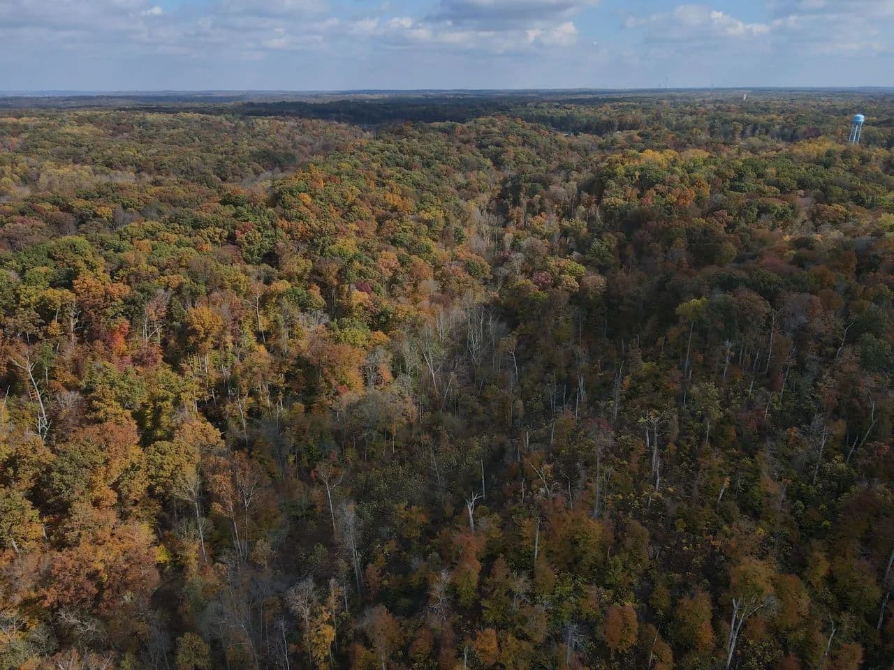 Sylvan Woods- Monroe County - Bloomington, Indiana, 47404