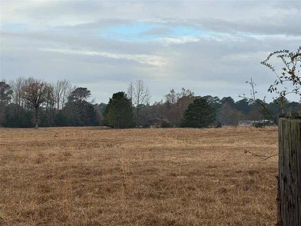 Vacant Land in Vivian - Vivian, Louisiana, 71082