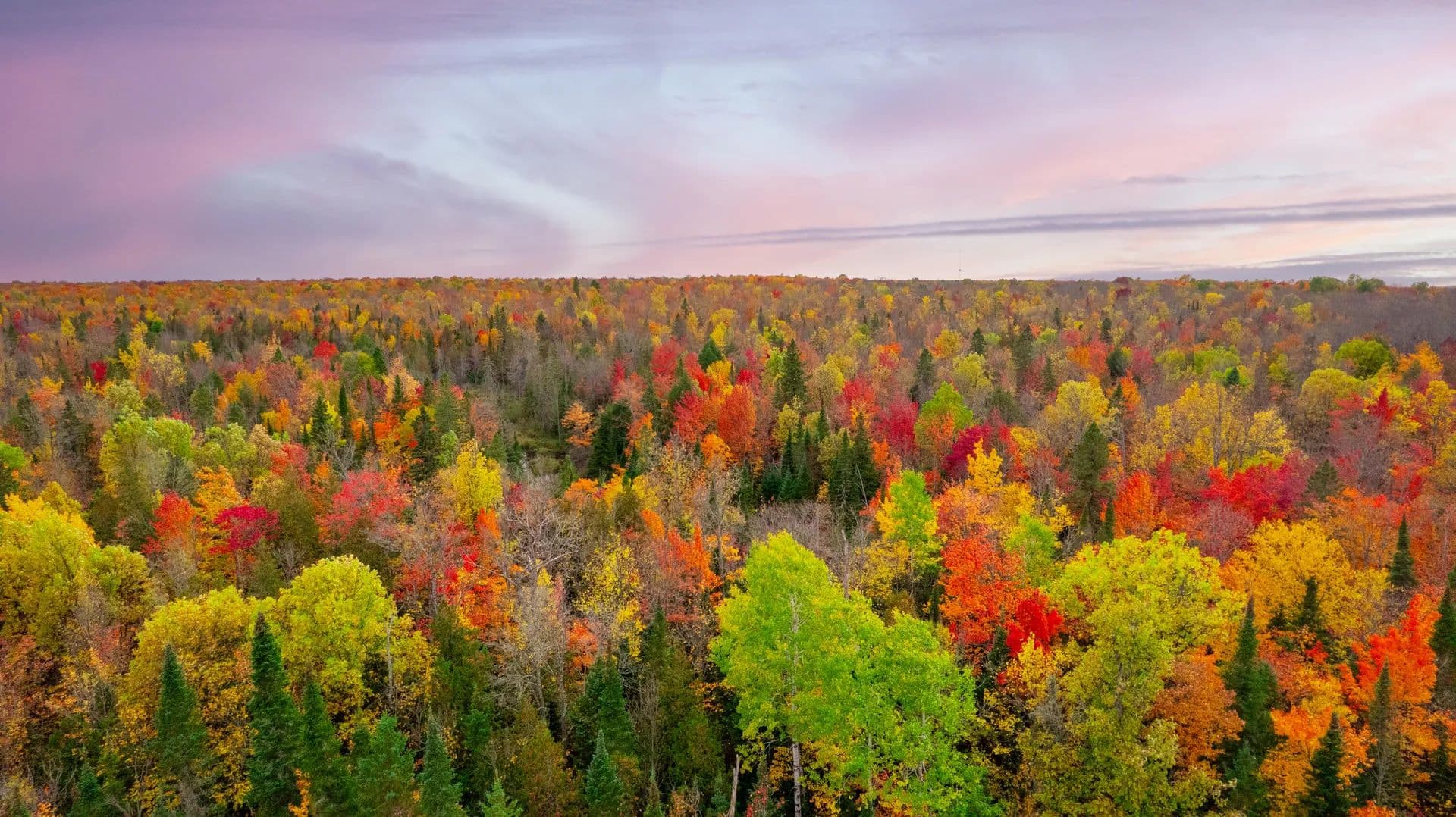 19.33 Acres of Land for Sale in Bergland, MI - Bergland, Michigan, 49910