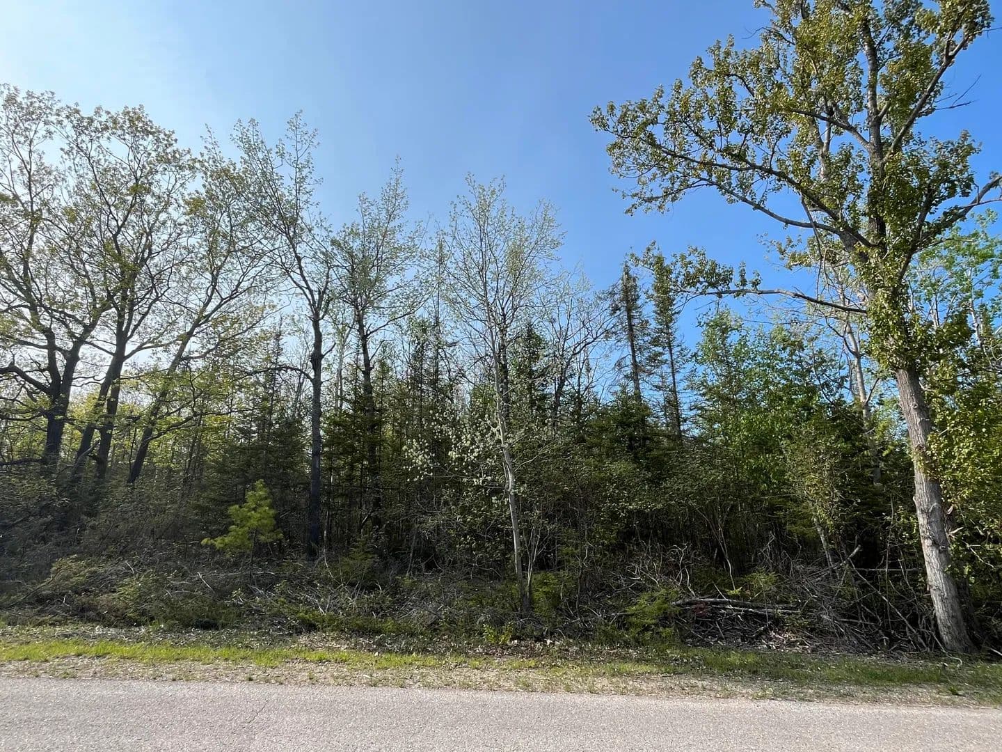 Property from Lot 102 Laurelhill Circle - KW - Presque Isle, Michigan, 49777