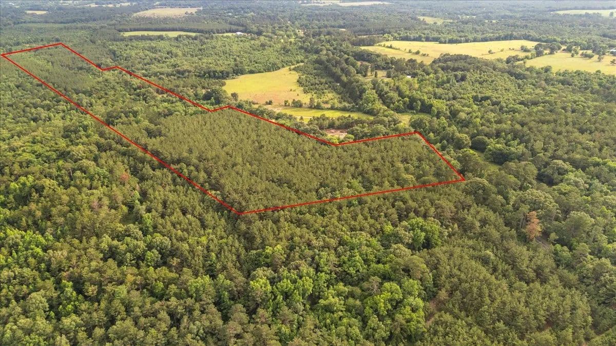 Vacant Land (10+ Acres) in Laneville - Laneville, Texas, 75667