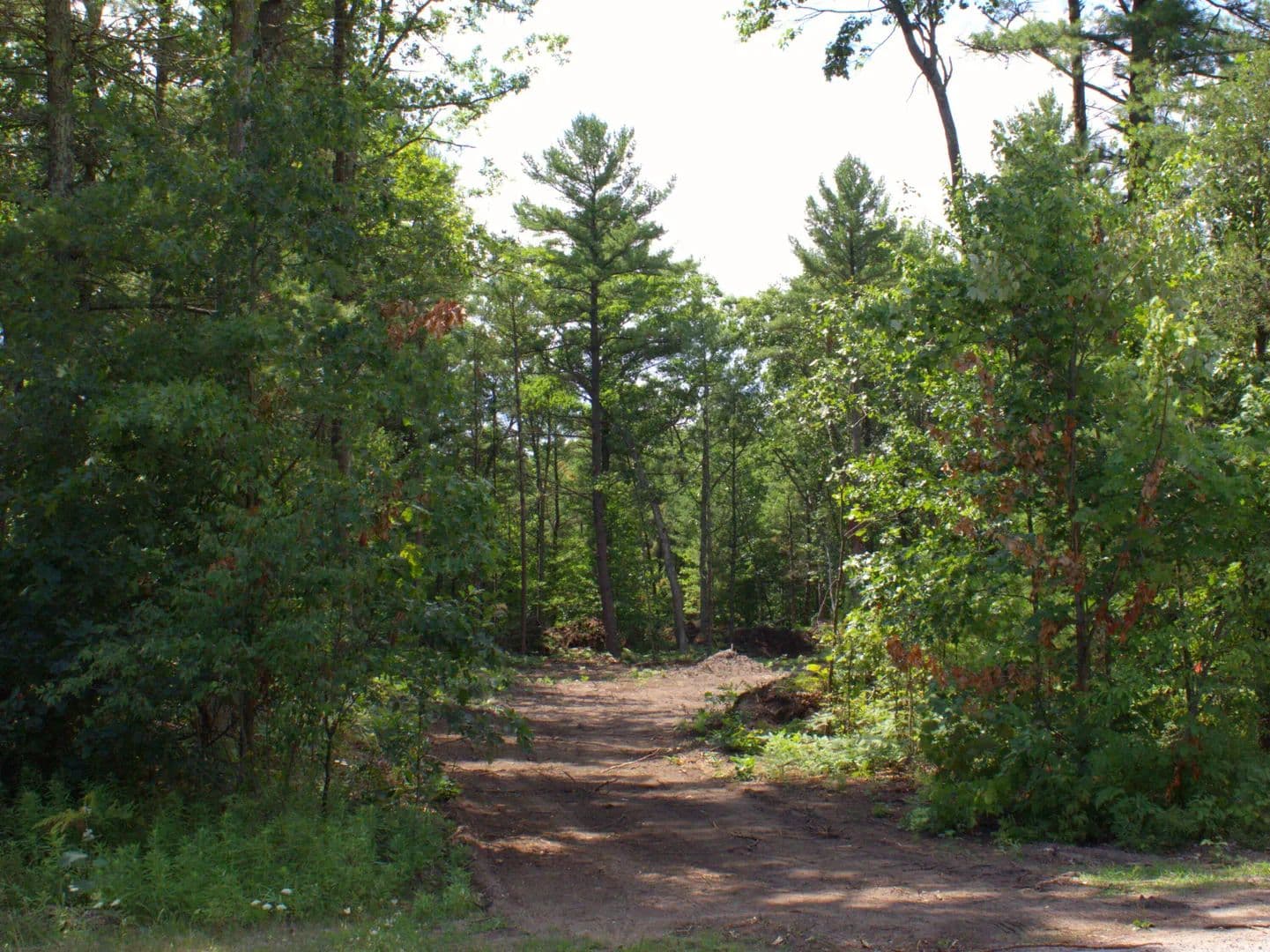 Vacant Land in Twin Lake - Twin Lake, Michigan, 49457