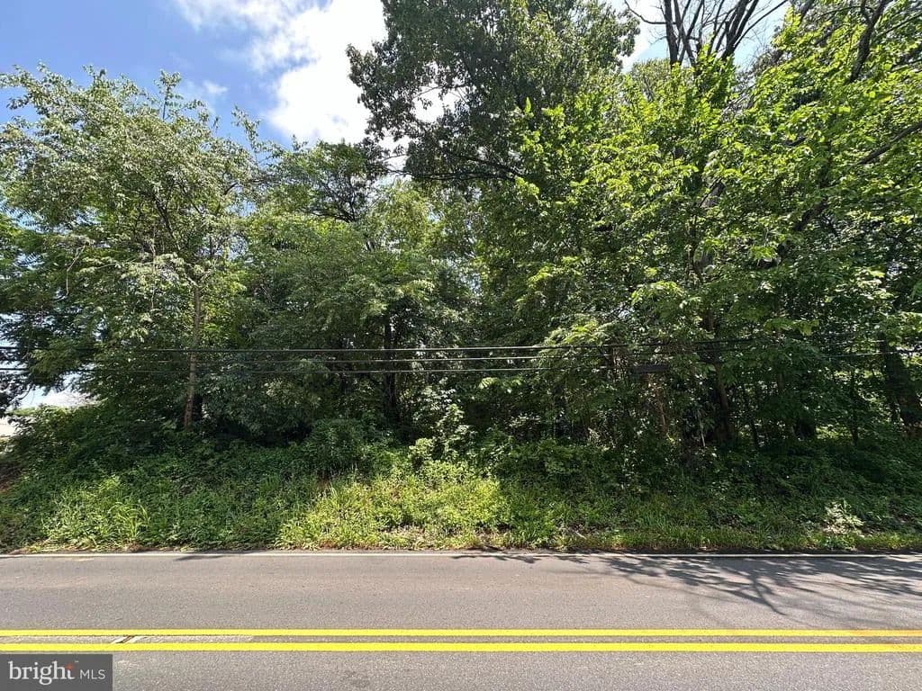 0.3 Acres of Land for Sale in BRUNSWICK, MD - Brunswick, Maryland, 21716