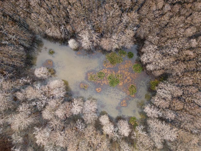 One Equity Share with a Camper at Southside Land Company, LLC in Jefferson County, MS 