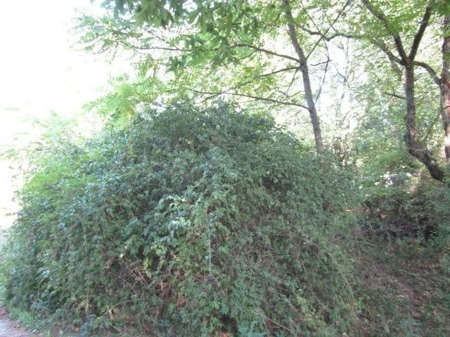 Property from 00 Douglas Rd - KW