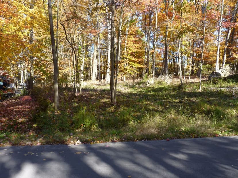 Land -Single Family Acreage in Bemus Point