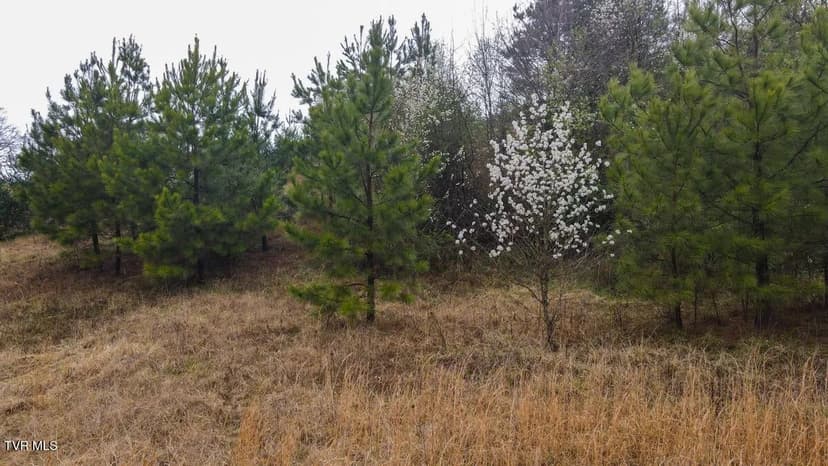 Lots & Land-Other in Blountville