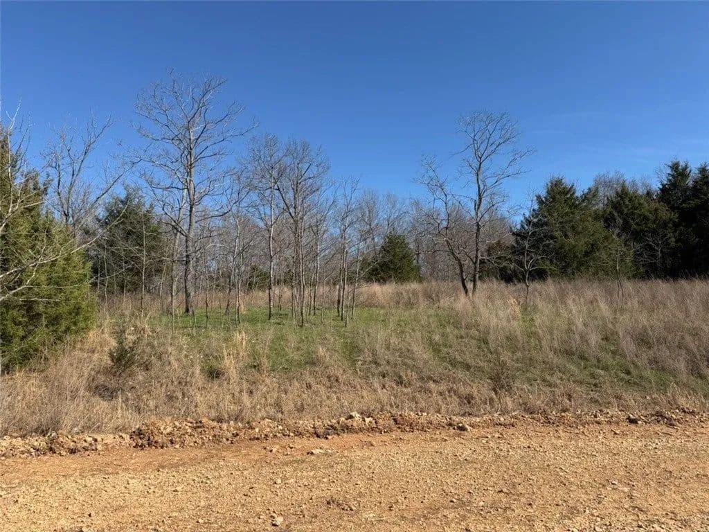 Lots & Land-Other in Pyatt - Pyatt, Arkansas, 72672