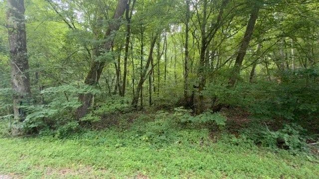 20.08 Acres of Land for Sale in Lawrenceburg, TN - Lawrenceburg, Tennessee, 38464