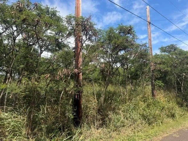 Vacant Land in Naalehu - Naalehu, Hawaii, 96772