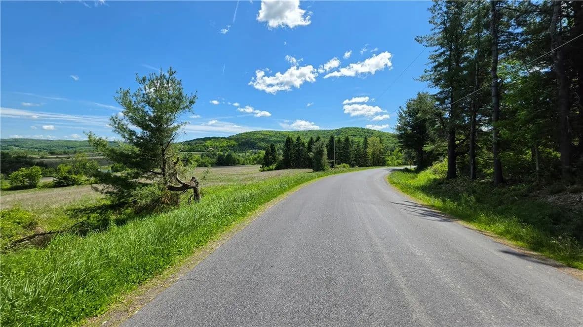 16.87 Acres of Land for Sale in Brooktondale, New York - Brooktondale, New York, 14817