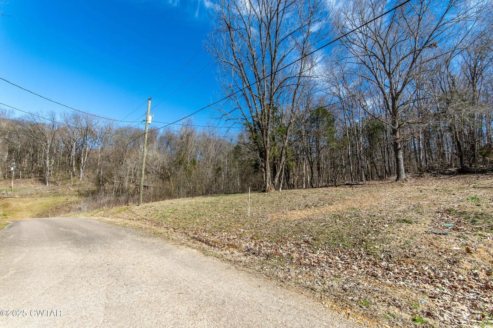 Vacant Land in Savannah - Savannah, Tennessee, 38372