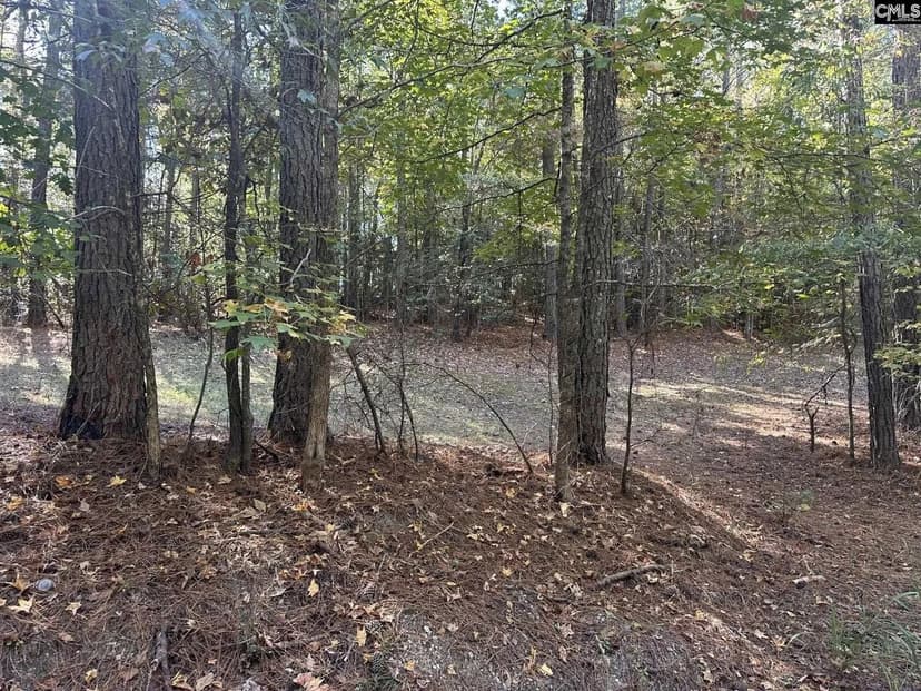 Lots & Land-Other in Pomaria