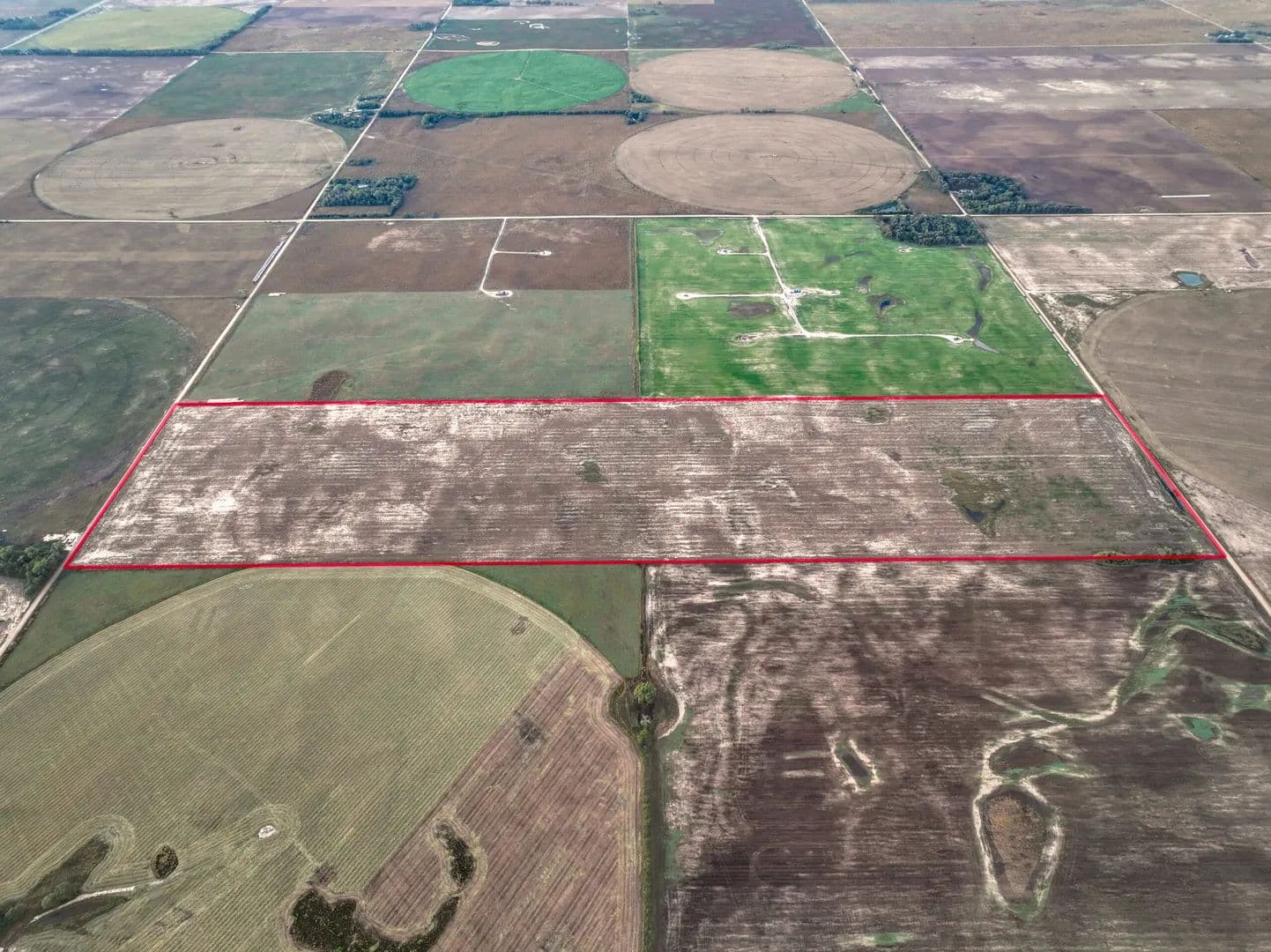 Jack’s Cropland Quarter - Iuka, Kansas, 67066