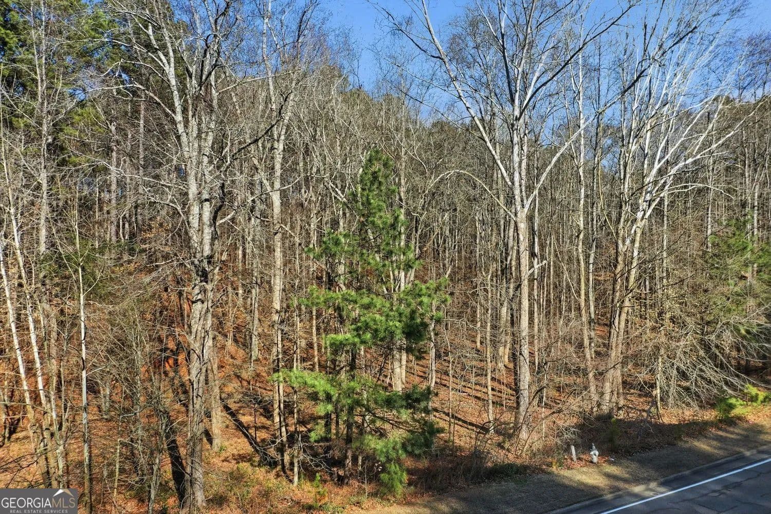 Lots & Land-Other in Canton - Canton, Georgia, 30114