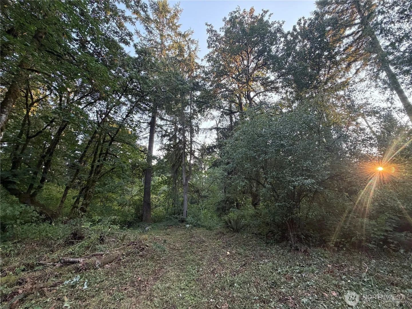 Vacant Land in Bothell - Bothell, Washington, 98012