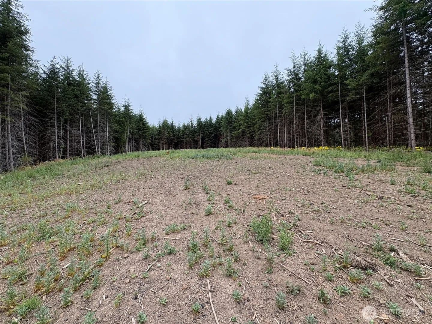 Vacant Land in Castle Rock - Castle Rock, Washington, 98611