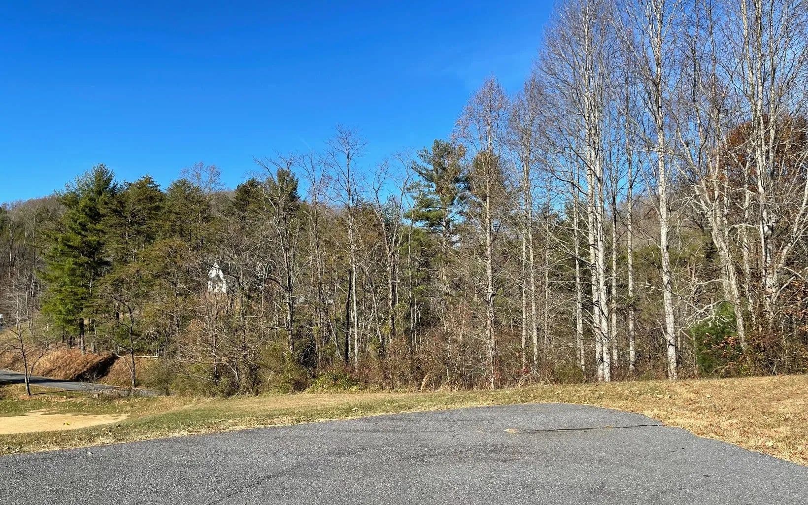 Lots & Land-Other in Hayesville - Hayesville, North Carolina, 28904