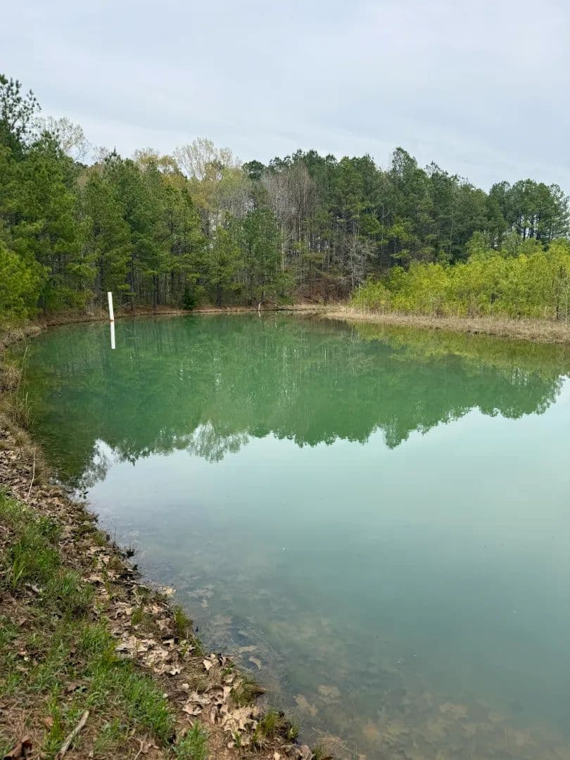 55 Acres in Kemper County, MS  - Preston, Mississippi, 39354