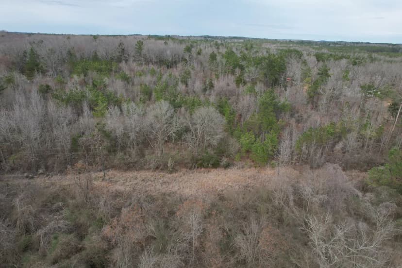 14.4 Acres in Montgomery County in Duck Hill, MS