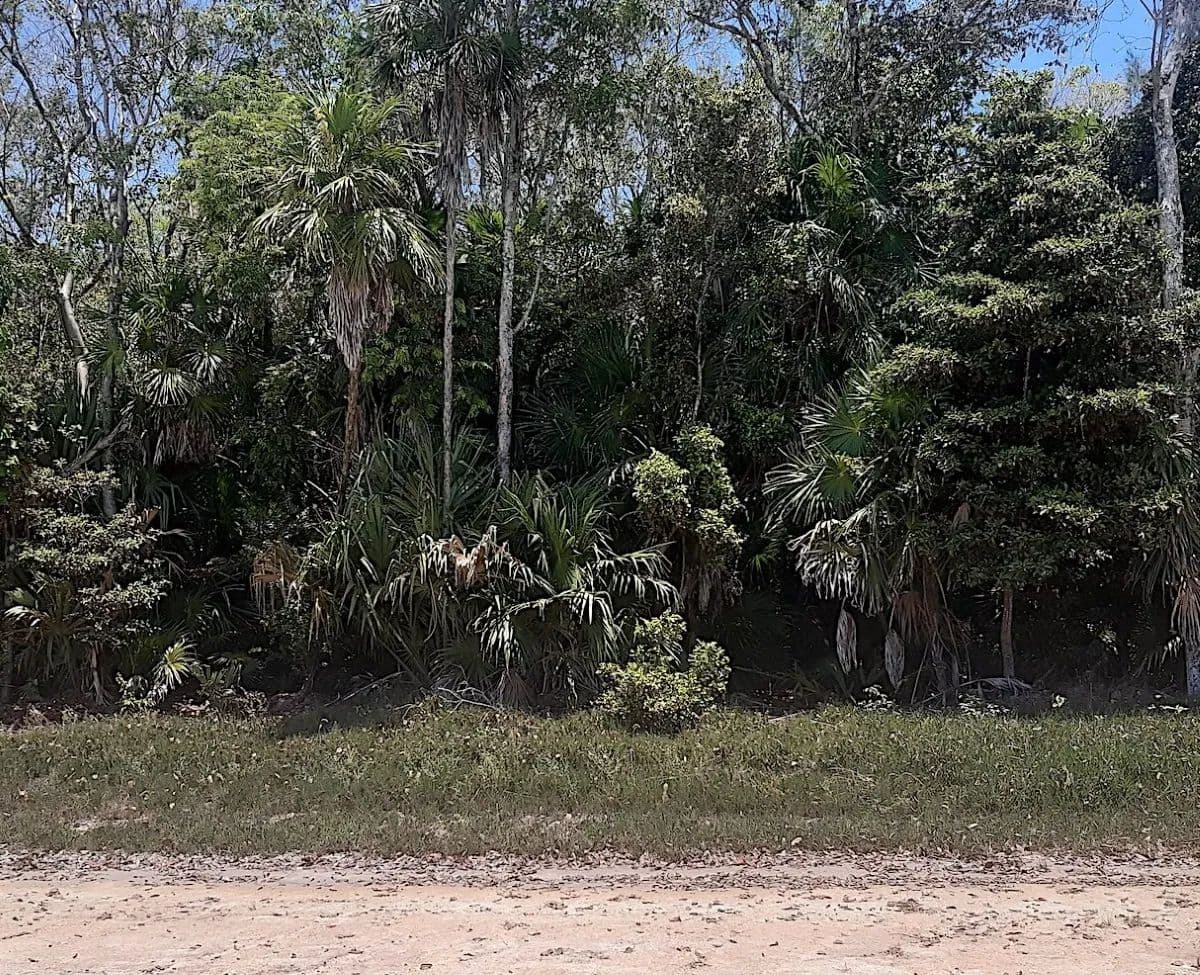 Land for Sale in Consejo Shores, Corozal District - Belize