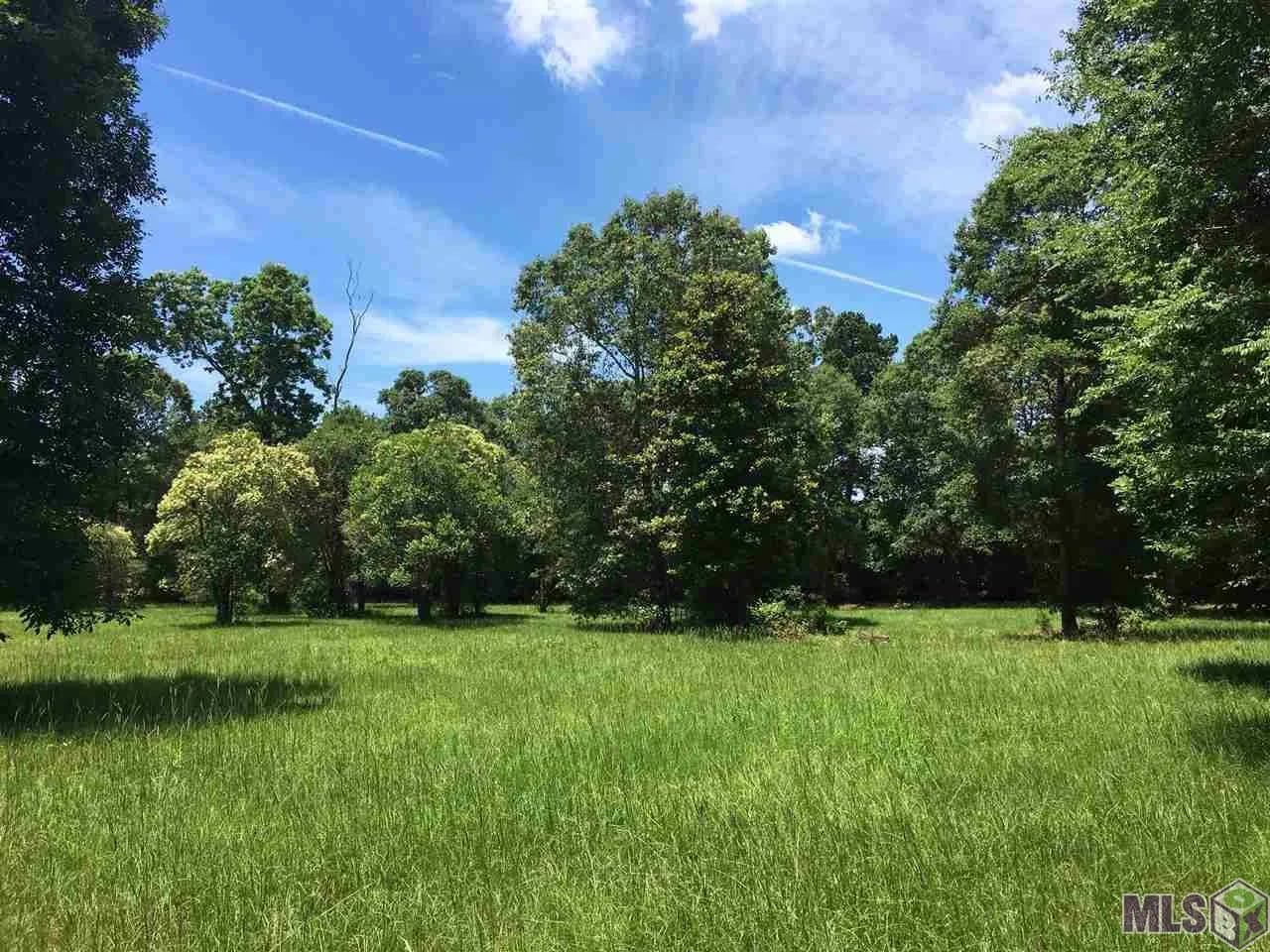 9.79 Acres of Land for Sale in Clinton, La Hwy 961 - 70722