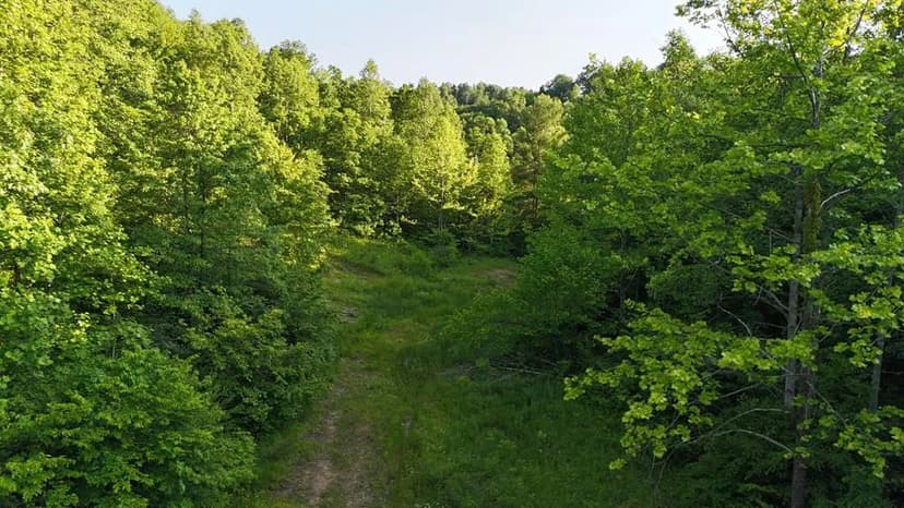 Lots & Land-Other in Louisa