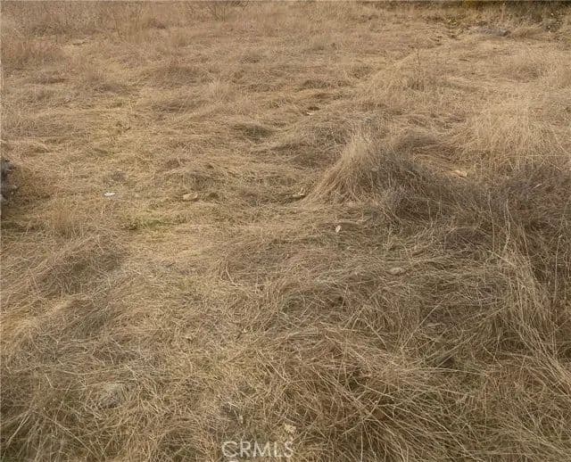Vacant Land in Llano - Llano, California, 93544