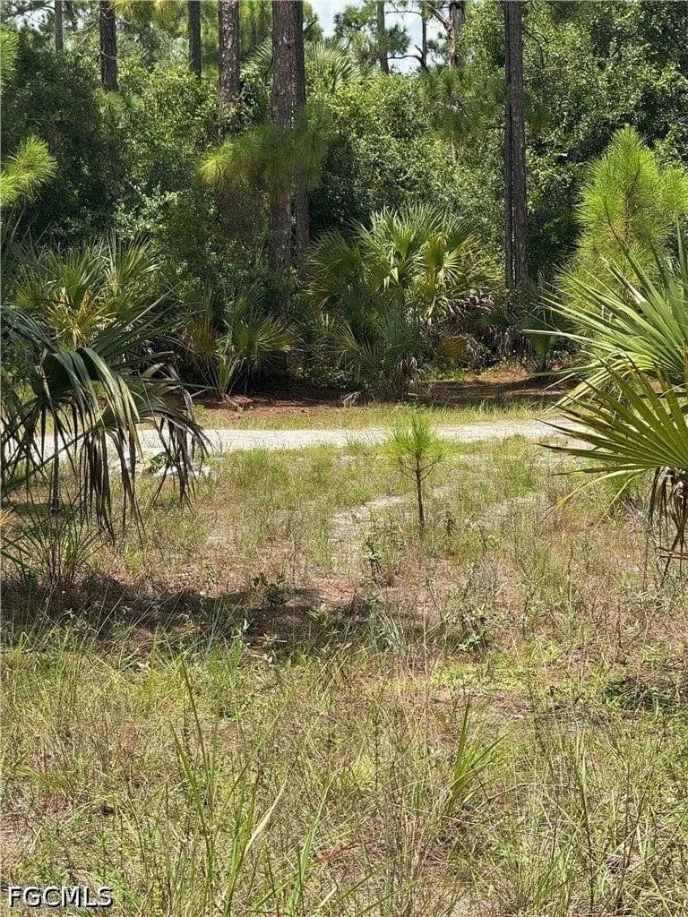Lots & Land-Other in Lehigh Acres - Lehigh Acres, Florida, 33972