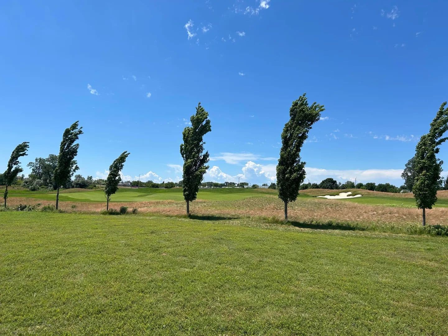 Vacant Land in St. Joseph - Michigan, 49085