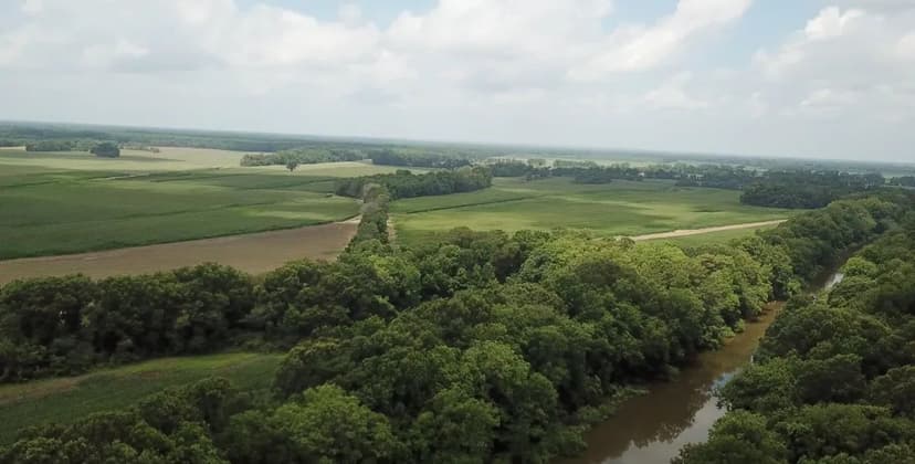 LA - Tensas 612 acres +/-