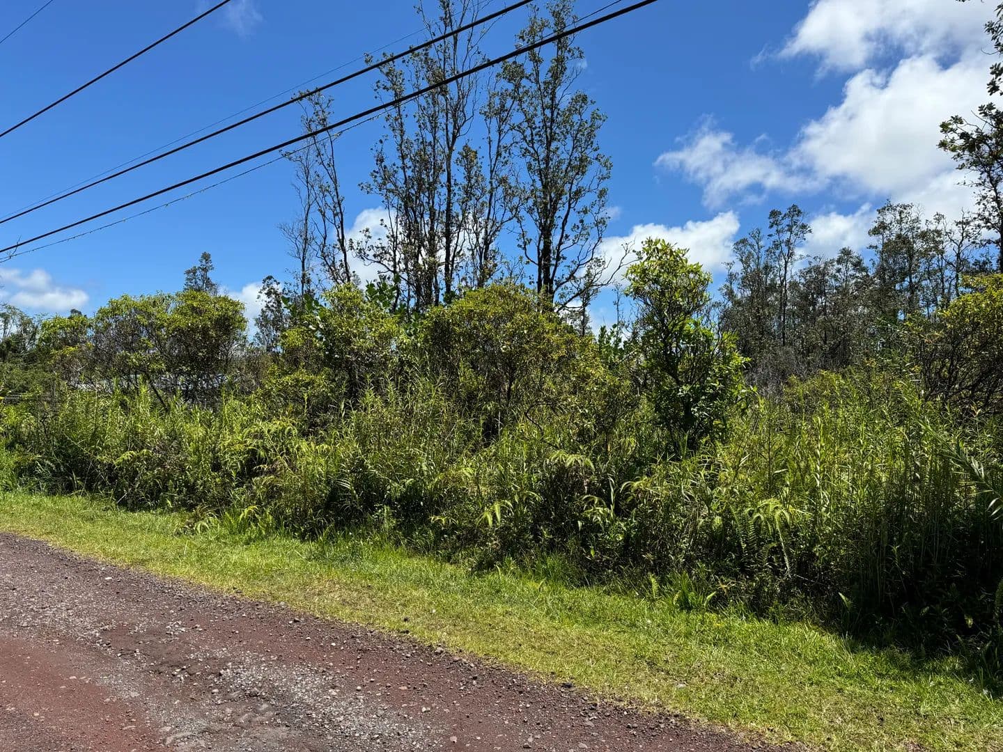 Vacant Land in Pahoa - Pahoa, Hawaii, 96778
