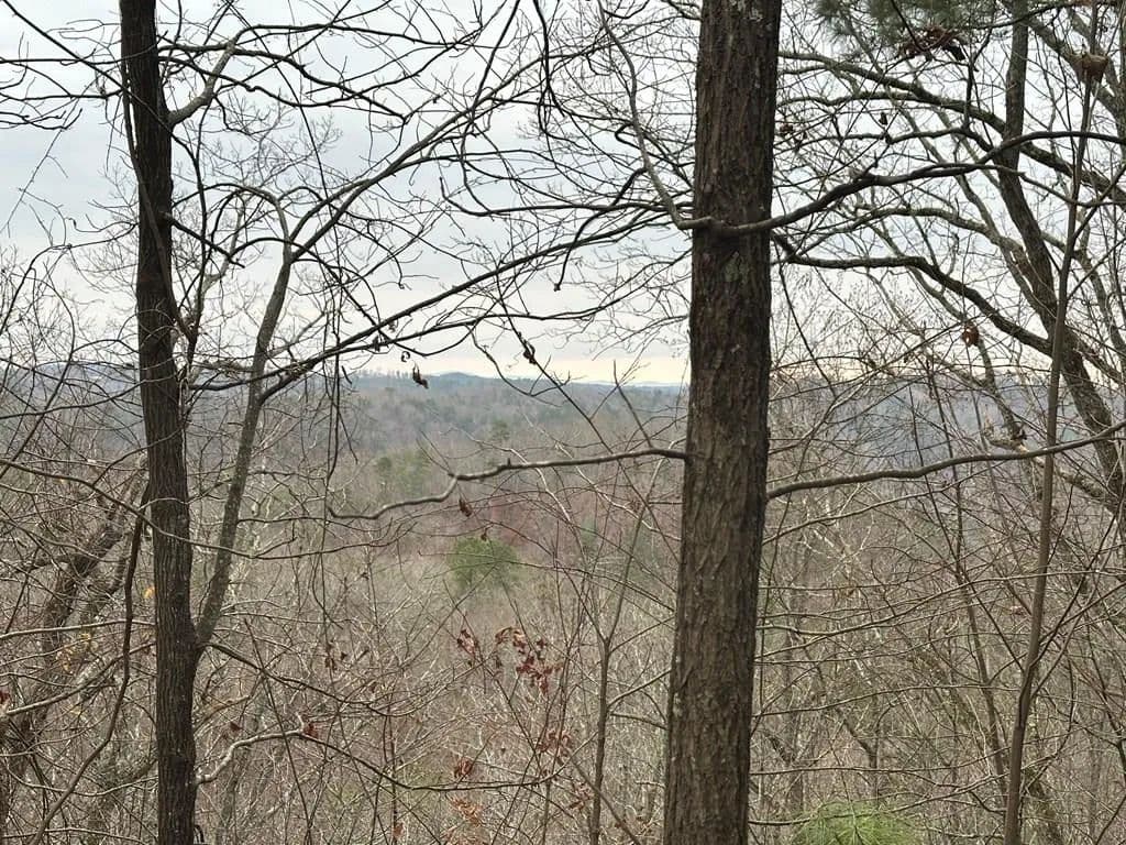 Lots & Land-Other in Ranger - Ranger, Georgia, 30734