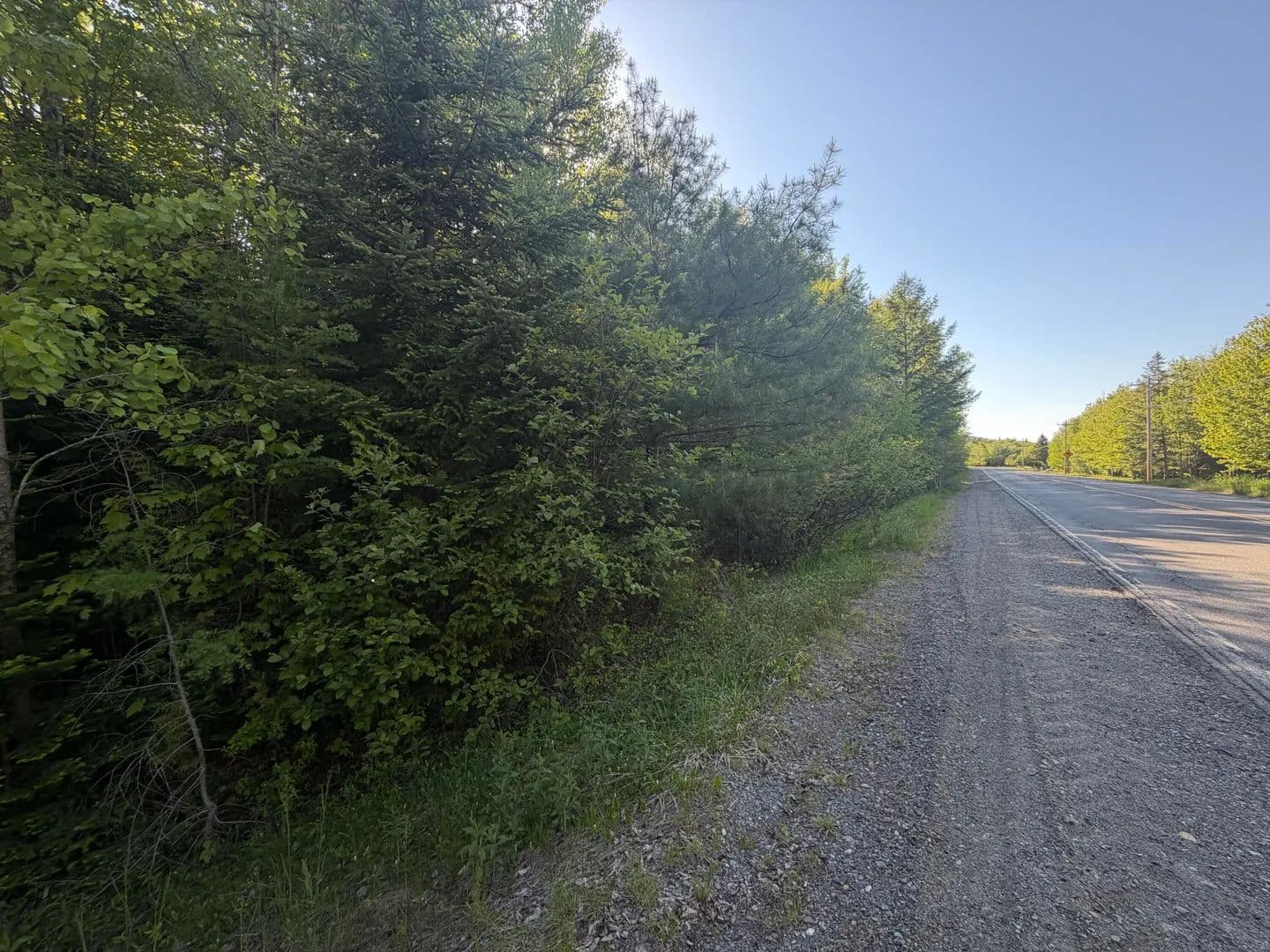 84 Acres of Land for Sale in Vanceboro, Maine - Vanceboro, Maine, 04619