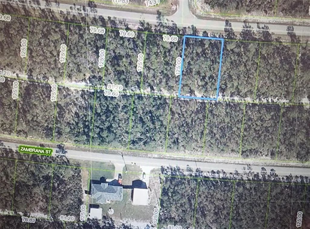 Vacant Land in Sebring - Sebring, Florida, 33872