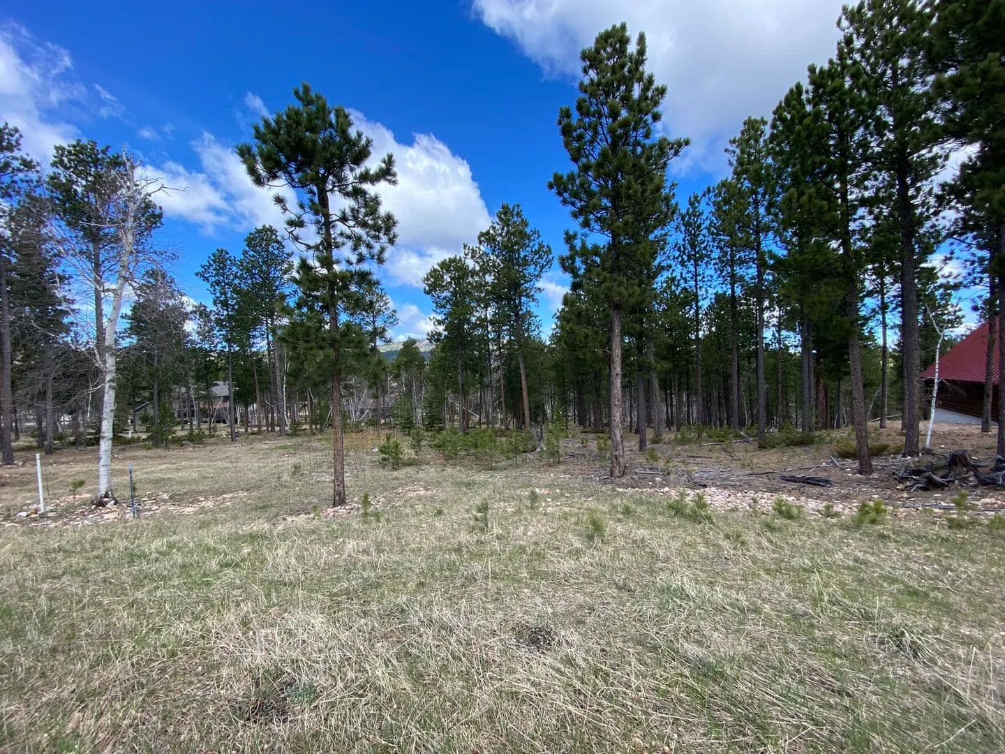 Land -Single Family Acreage in Lead - Lead, South Dakota, 57754