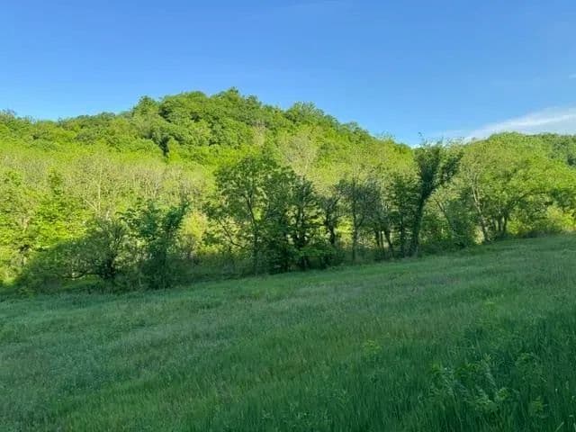 Vacant Land (10+ Acres) in Blue River - Blue River, Wisconsin, 53518